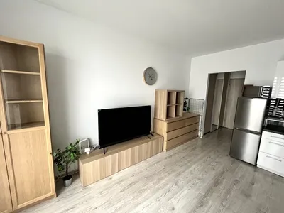 Na wynajem kawalerka Lewandowskiego - miniatura 5
