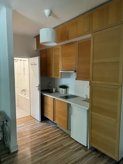 Śródmieście , mieszkanie 2 pokoje , po remoncie - miniatura 2
