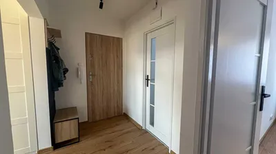 mieszkanie na wynajem | 2 pokoje + salon z aneksem | ul. Swobodna | Wysoki Stoczek - miniatura 5