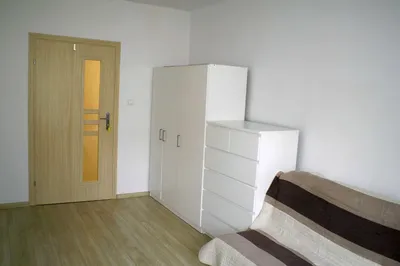 Do wynajęcia słoneczny samodzielny pokój dla studentki - miniatura 3