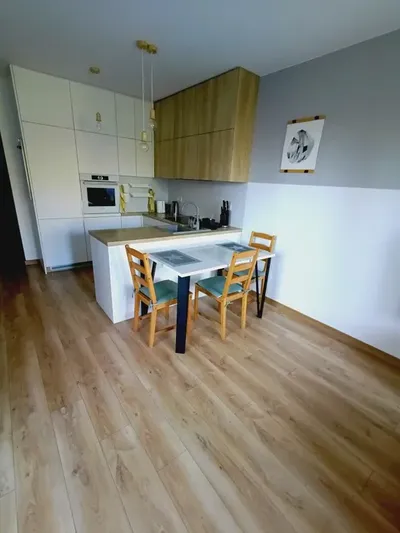 Mieszkanie do wynajęcia przy Politechnice - miniatura 2