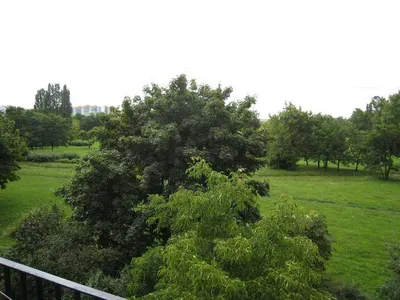 Kawalerka z balkonem, 2 piętro, blok 4 piętrowy - miniatura 2