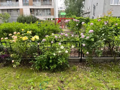 Żoliborz Południowy | Apartament Premium 45m² z ogrodem różanym i garażem [W CENIE] - miniatura 2