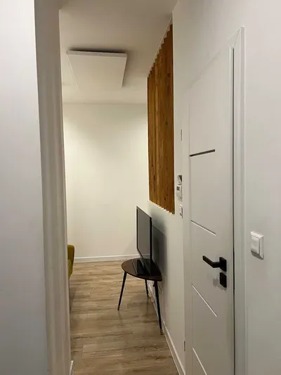 Mieszkanie, wynajem, kawalerka po remoncie, Katowice Centrum Plebiscytowa - miniatura 4