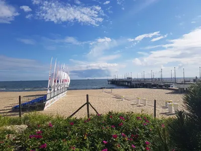 wynajmę mieszkanie przy samej plaży Gdańska Brzeźno, bezczynszowe - miniatura 4