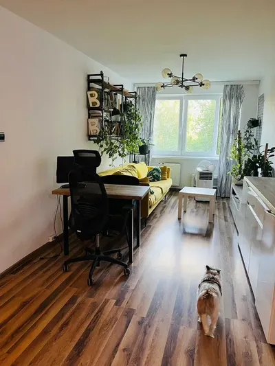 Nasze pierwsze mieszkanie| BIEŃCZYCE, os Kazimierzowskie, 2 pokoje 36,9 m² | bez pośredników | suszarka do prania | w pełni wyposażone| PIES OK - miniatura 2
