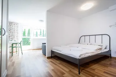Na wynajem przytulny duży pokój z łazienką i ogródkiem w Orłowie przy SKM - miniatura 3