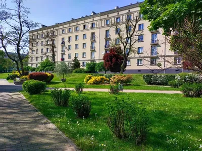 Pokój jednoosobowy na Koszutce - miniatura 2