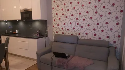 Mieszkanie 39m2 Komuny Paryskiej. Miejsce postojowe w garażu w cenie. Na 20.09 Aktualne - miniatura 2