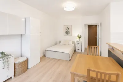 Kawalerka po remoncie | Balkon | Oliwa przy lesie | Pieski mile widziane - miniatura 2