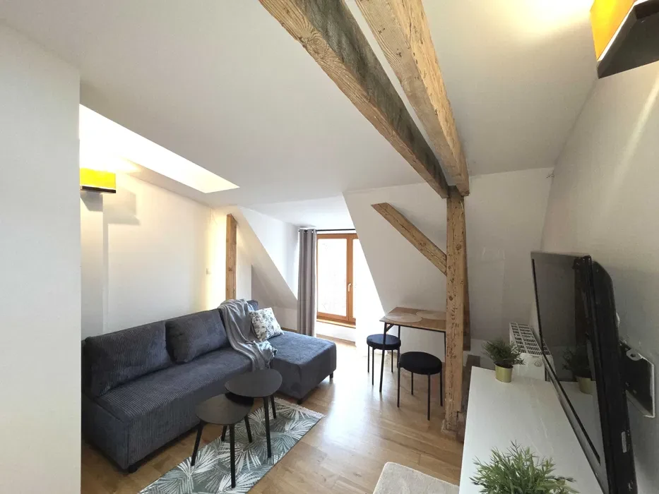 Klimatyczna kawalerka w apartamentowcu centrum ul.Garbary 2100 zł - 1/8