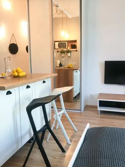 Piękna kawalerka na wynajem w centrum Łodzi - miniatura 2