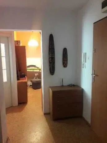 Wolne miejsce w pokoju dwuosobowym dla dziewczyny, blisko rynku - miniatura 5