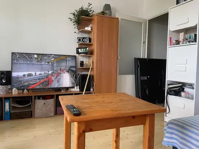 Mieszkanie 1 pokojowe w centrum do wynajęcia - miniatura 3