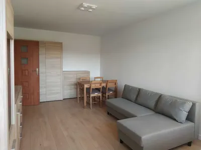 mieszkanie do wynajęcia 2 pok. 49m2 Gdańsk-Zaspa, bez kaucji bezpośrednio od właściciela - miniatura 2