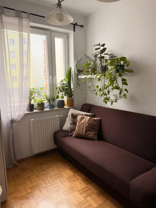 Ostatni pokój dla studentki – własny aneks kuchenny | Toruń, Małachowskiego 9 - 1/8