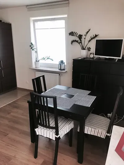 Mieszkanie 2 pokojowe do wynajęcia od 2 sierpnia - miniatura 3