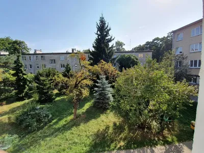 Pets friendly, Metro, bez prowizji, umeblowane - miniatura 2