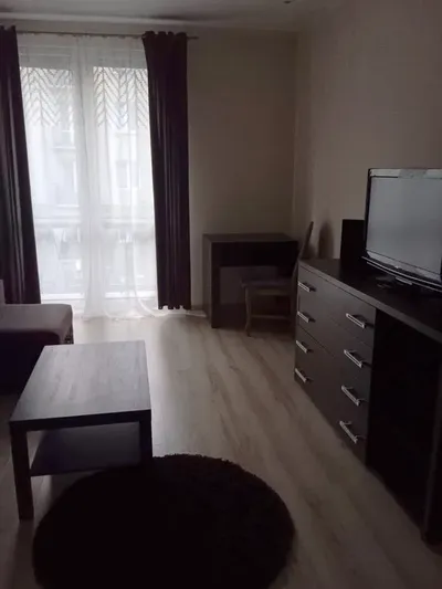 Do wynajęcia mieszkanie w Śródmieściu - miniatura 3