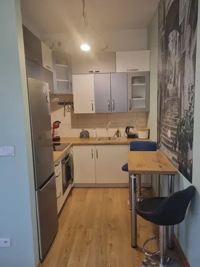 Mieszkanie do wynajęcia 2 pokoje - miniatura 3