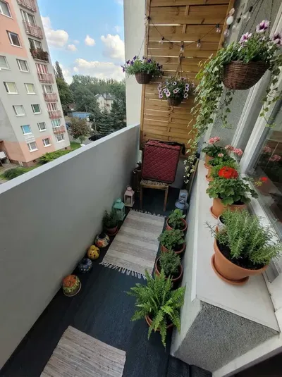 Mieszkanie 53 m2 na wynajem - miniatura 2