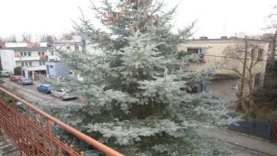 dwupokojowe klimatyzacja Krowodrza 7 przyst. do CENTRUM uczelnie blisko - miniatura 3