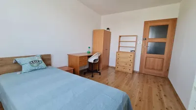 Pokój dla studentki, Pokój do wynajęcia - miniatura 3