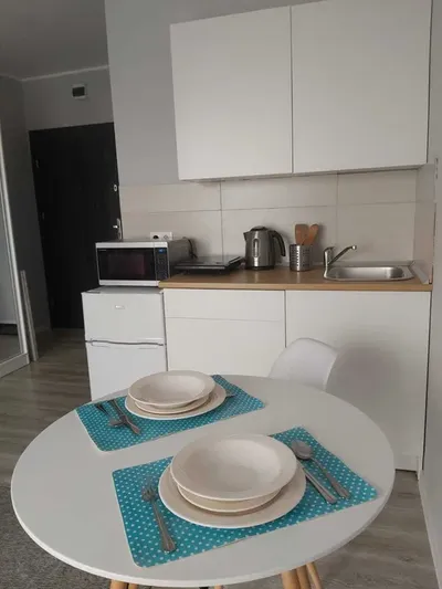 Wynajmę kawalerkę w świetnej lokalizacji. Toruń, ul. Długa 20 - miniatura 5