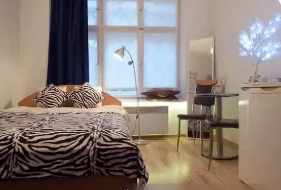 Przytulne mieszkanie w ścisłym centrum - bezpośrednio - 1/7