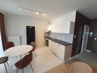 nowe designerskie 39m2 - pok+kuchnia, Wiślane Tarasy 2.0, właściciel - miniatura 3