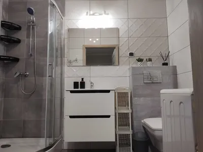Mieszkanie na wynajem ul. Karpia - miniatura 5