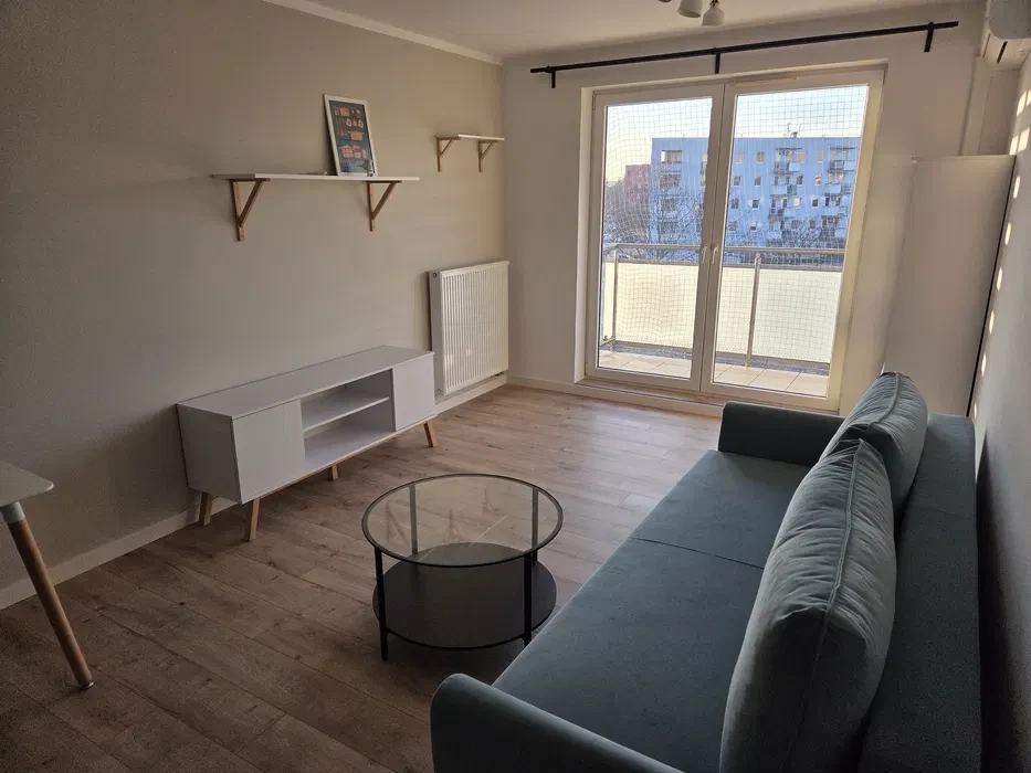 Mieszkanie 2-pokojowe - pet-friendly, świeżo po remoncie, klimatyzacja - 1/8