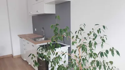 Kawalerka do wynajęcia, Krzyki/Wojszyce. Nowy blok. Od zaraz. Duży metraż 36 m.kw. Przyjazna zwierzętom. - miniatura 4