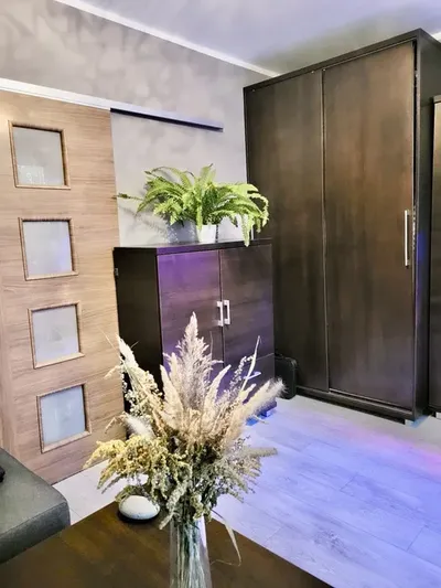 Kawalerka na wynajem 25m2 Katowice - miniatura 5