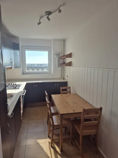 Rataje, os. Rusa, 2pokoje, 49m2, od zaraz. - miniatura 5
