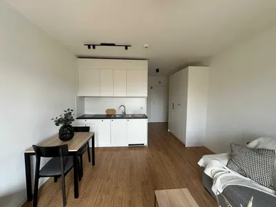 Studio - ul. Przyjaźni Polsko-Węgierskiej 6A/314– bez pośredników - miniatura 5