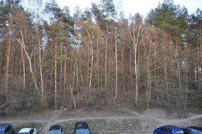 Wynajmę pokój z widokiem - miniatura 2