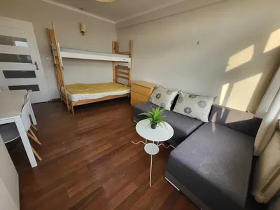 mieszkanie studenckie/pracownicze 50m 2 pokoje Plac Wolności - miniatura 3