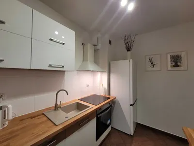 Mieszkanie do wynajęcia - akceptacja zwierząt domowych - miniatura 4