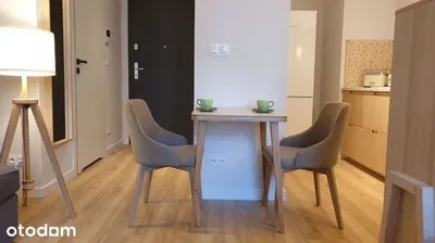 Stylowe mieszkanie na Jeżycach z balkonem - miniatura 2