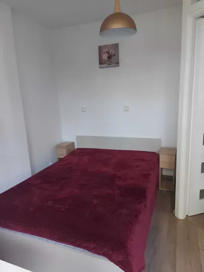 Do wynajęcia przytulne mieszkanie dwupokojowe z balkonem. Świetna lokalizacja - miniatura 3