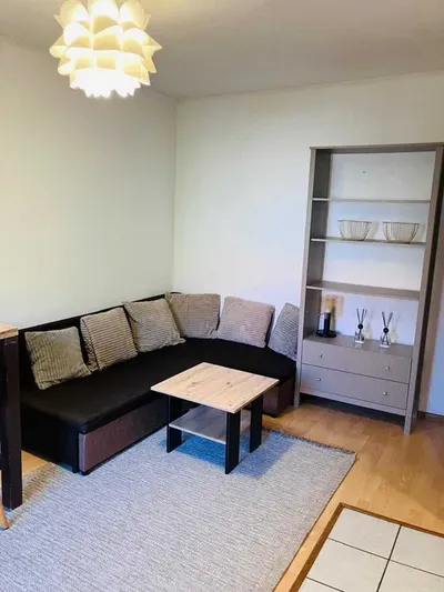 Duża kawalerka z osobną kuchnią - Nowy Dwór - miniatura 4