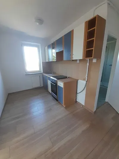Kraków, 1 pokojowe, bez prowizji - miniatura 2