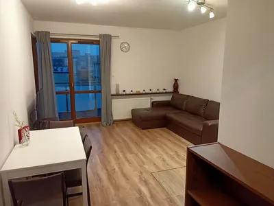 Mieszkanie do wynajęcia 45m2, dwa pokoje, garderoba, schowek, garaż - miniatura 2