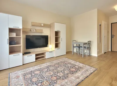 Komfortowe mieszkanie na wynajem, kawalerka na Tarchominie, ul. Talarowa - miniatura 4