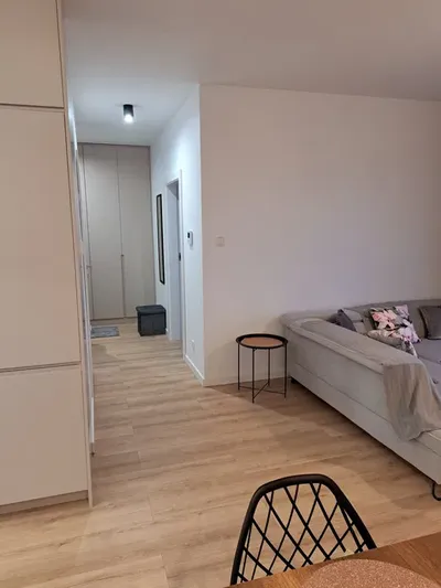 Nowe, 50-metrowe, 2-pokojowe mieszkanie w Starej Miłosnej - miniatura 3