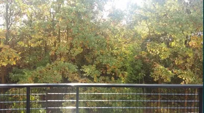 Mieszkanie 45m2 do wynajęcia, osiedle Wille Klasyków, koło Parku Henrykowskiego
