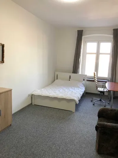 Do wynajęcia apartament w ABSOLUTNYM ŚCISŁYM CENTRUM Łodzi - miniatura 3