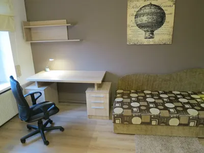 Pokój w mieszkaniu studenckim wynajmę - miniatura 4