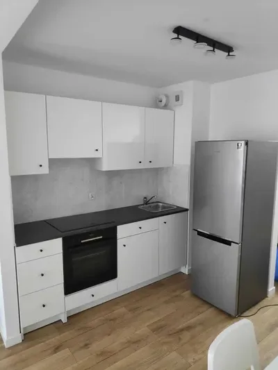 Wynajmę Kraków, Złocień ul. Czeczów 41m2 - miniatura 2